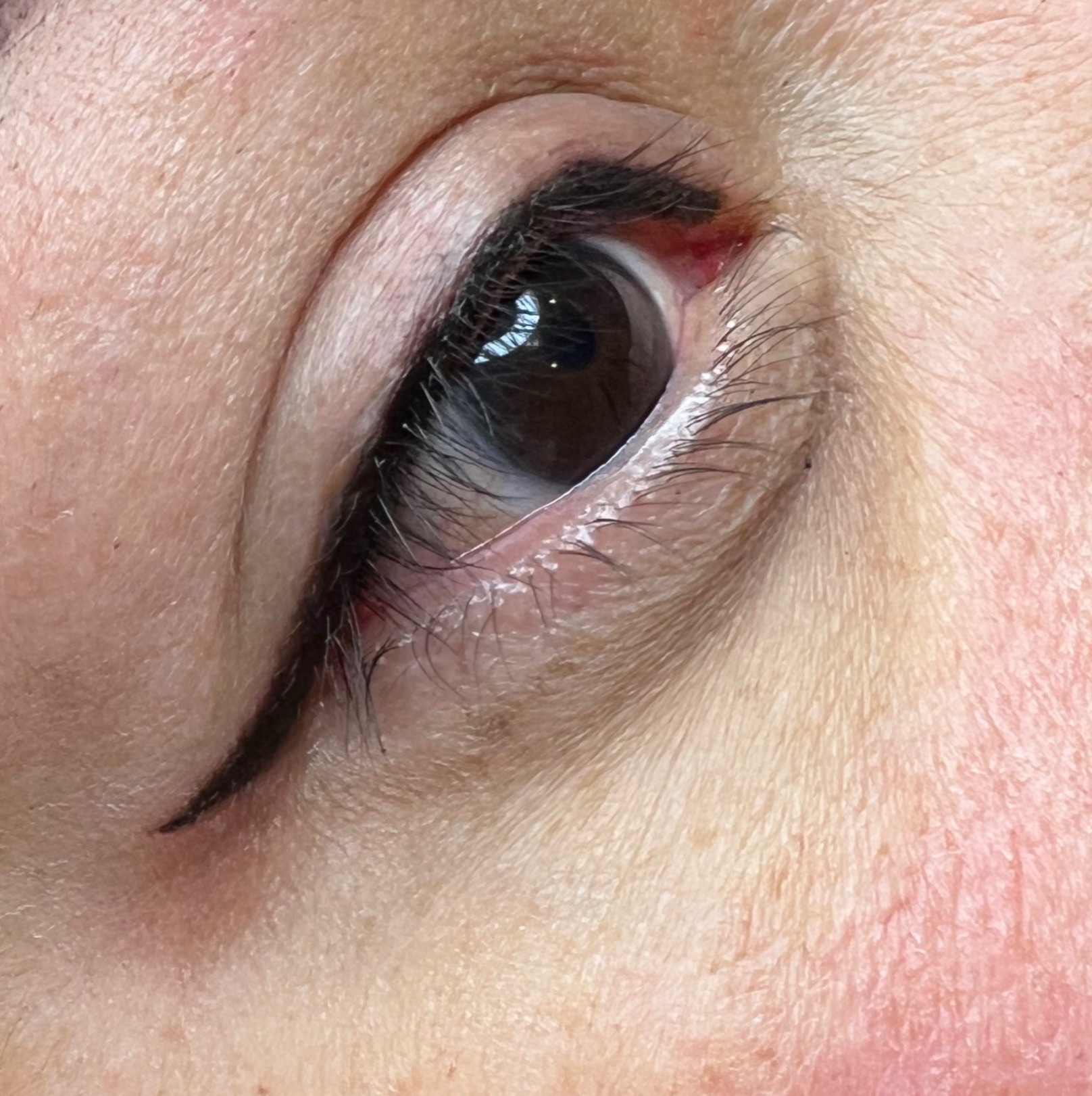 liner and lash tattoo enhancement done by lucia