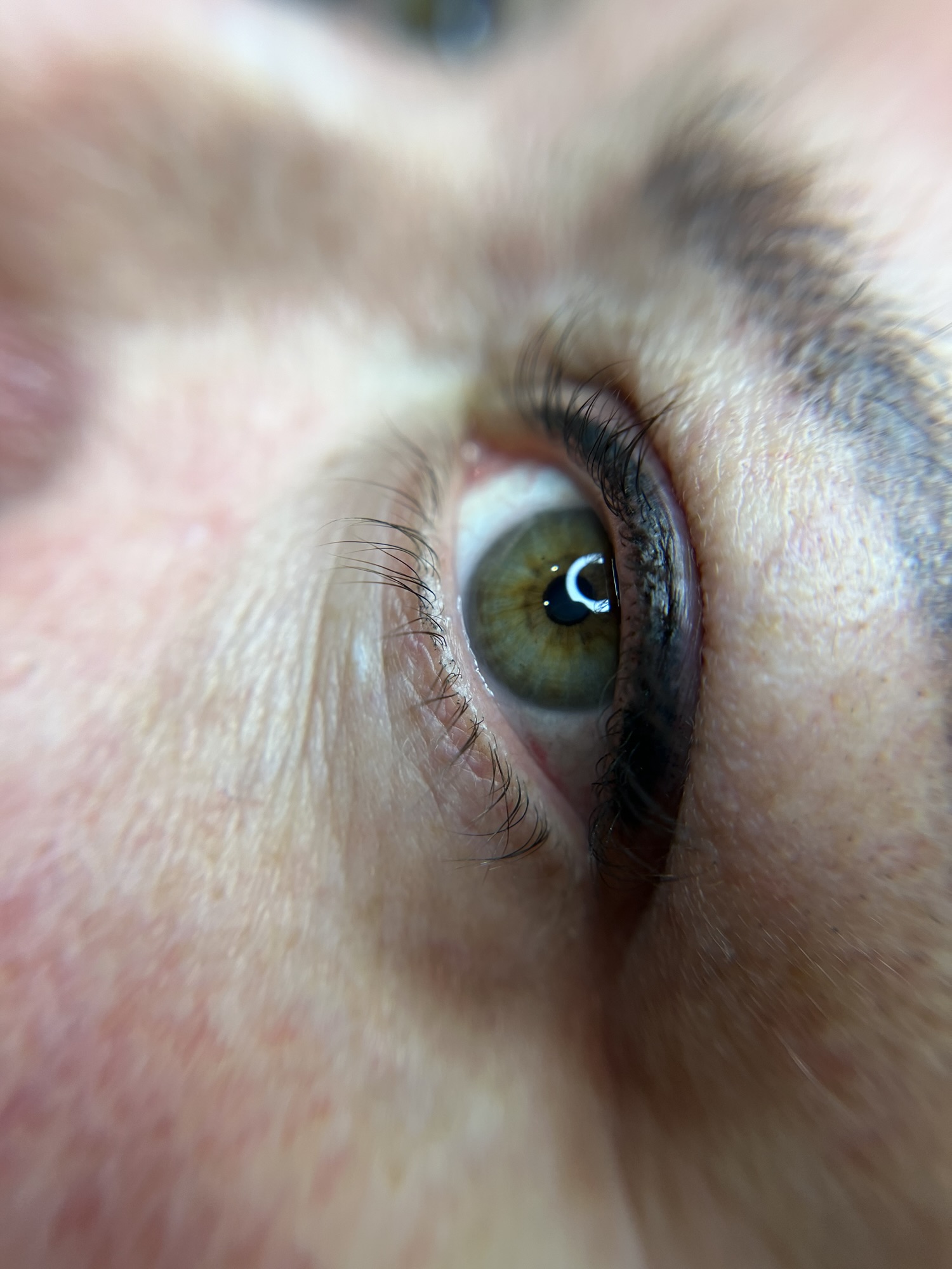 lash and liner soft tattoo enhancement done by lucia